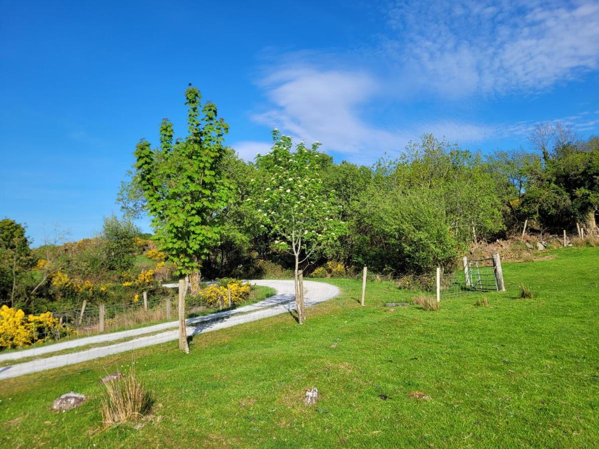 Oaklane Glamping Villa Kenmare Eksteriør billede