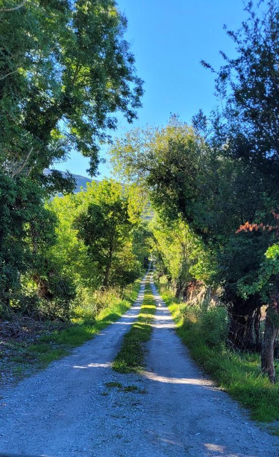 Oaklane Glamping Villa Kenmare Eksteriør billede
