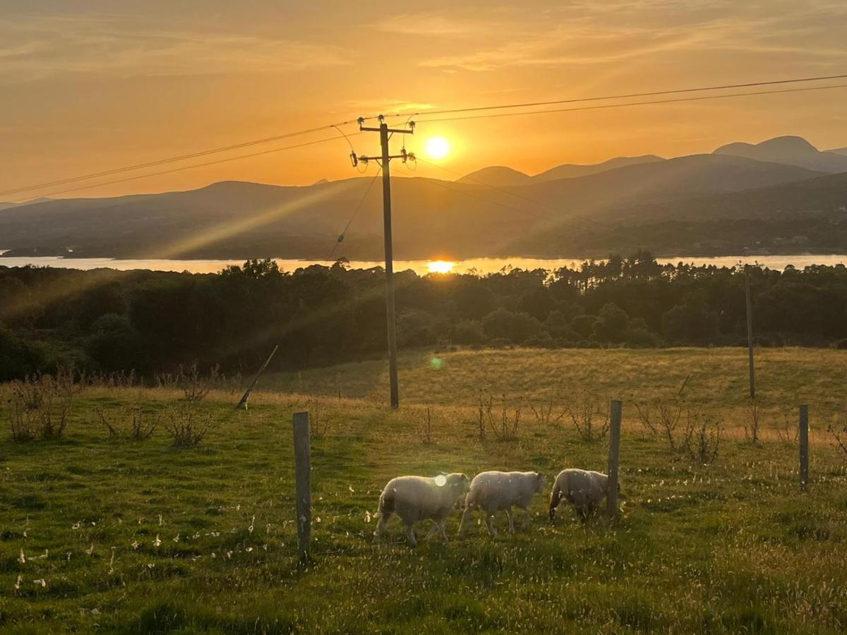Oaklane Glamping Villa Kenmare Eksteriør billede